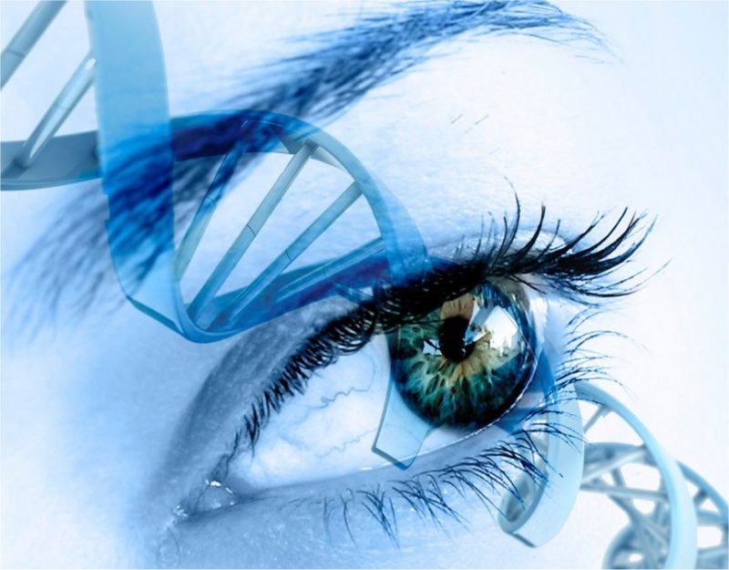 Science You Really Can Change Your DNA Here’s How abzu2