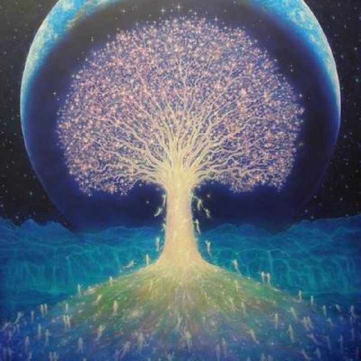 Quantum Perception and the Recognition of Plant Consciousness abzu2